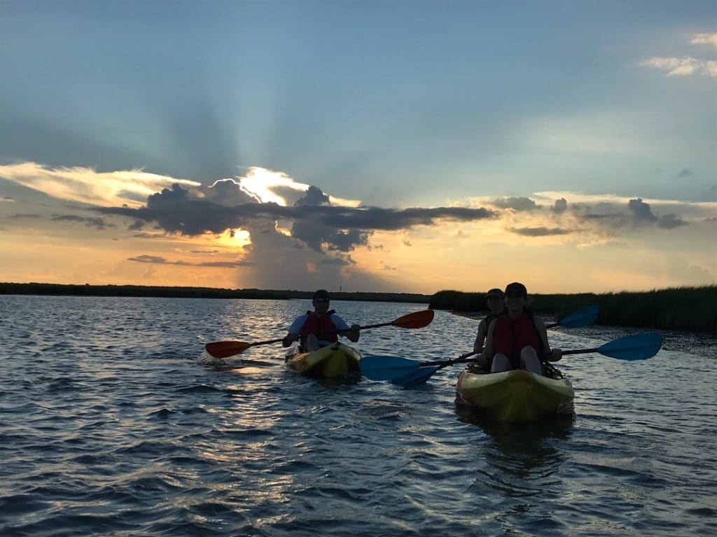 Sunset & Dolphin Tours by Kayak or Paddleboard Ocean View, NJ